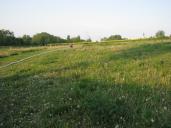 IMG_1056.jpg