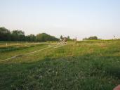 IMG_1076.jpg
