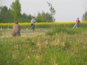 IMG_1077.jpg
