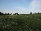 IMG_1146.jpg