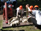 IMG_1410.jpg