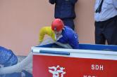 DSC20131368.JPG